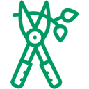 Servicio de poda de árboles en Caracas