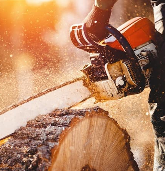 Empresas de tala de árboles en Caracas