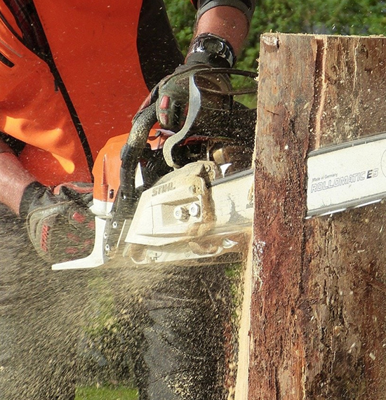 Servicio de tala de árboles en Caracas